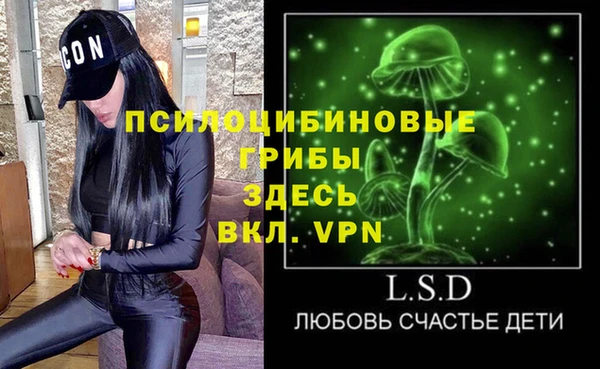 герыч Ладушкин