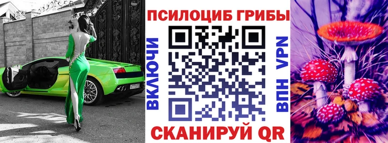 KRAKEN зеркало  Шилка  Псилоцибиновые грибы Psilocybe 